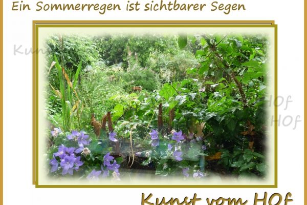 Sommerregen gesegneter