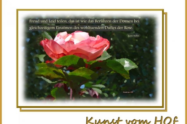 Freud und Leid teilen